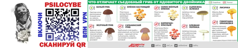 Галлюциногенные грибы MAGIC MUSHROOMS Кедровый